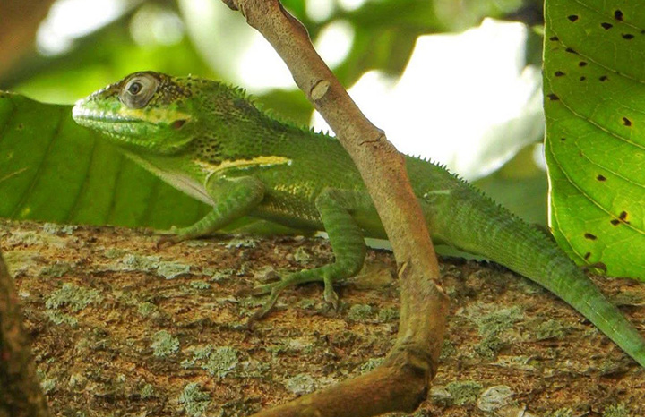 0408 investigaciones cientificas