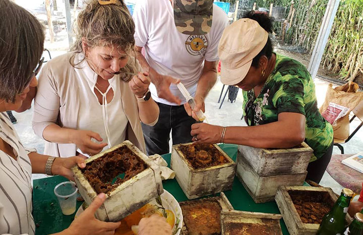 2503 cfg manos mujer