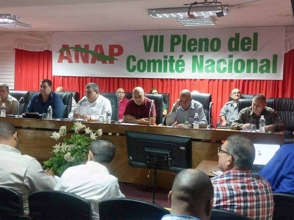 Pleno ANAP