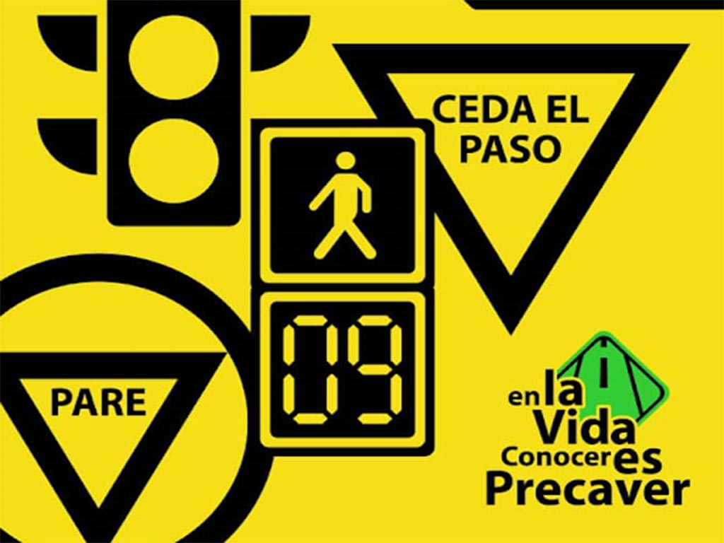 Seguridad Vial 1