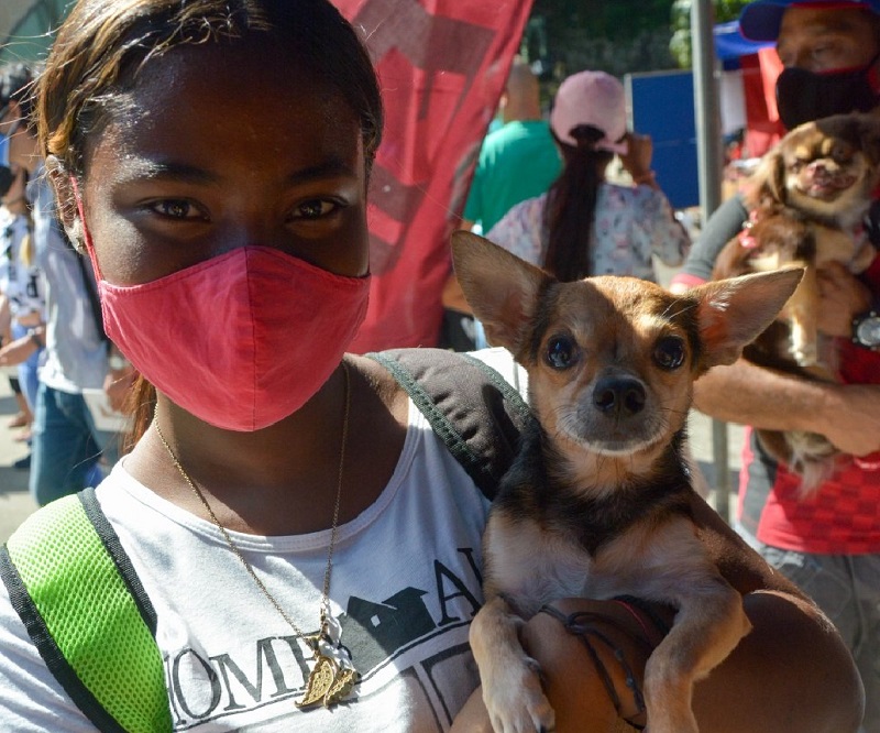 Niña con su perro