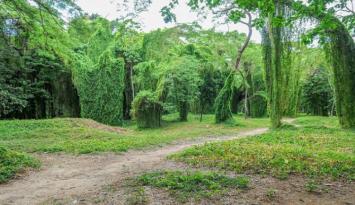 Parque Metropolitano de La Habana