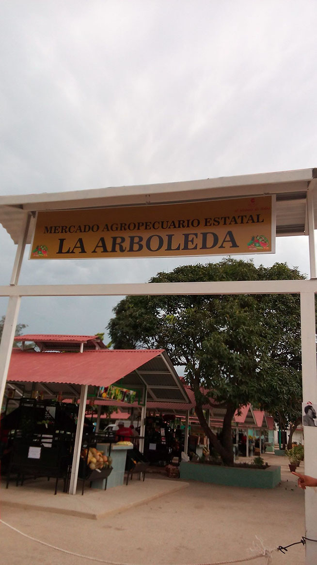 Acopio como Grupo Empresarial para el fortalecimiento de sus funciones