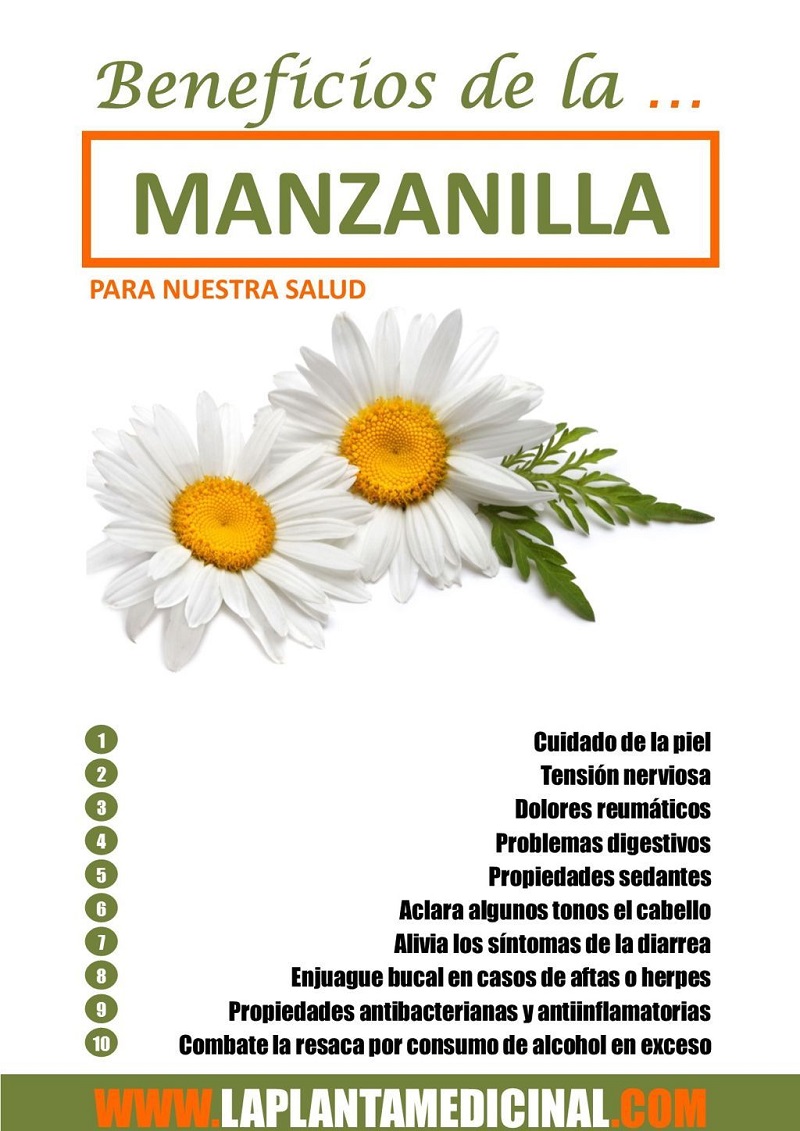 La manzanilla, un remedio natural de uso eficaz durante siglos 