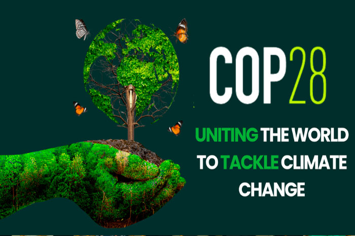 COP 28