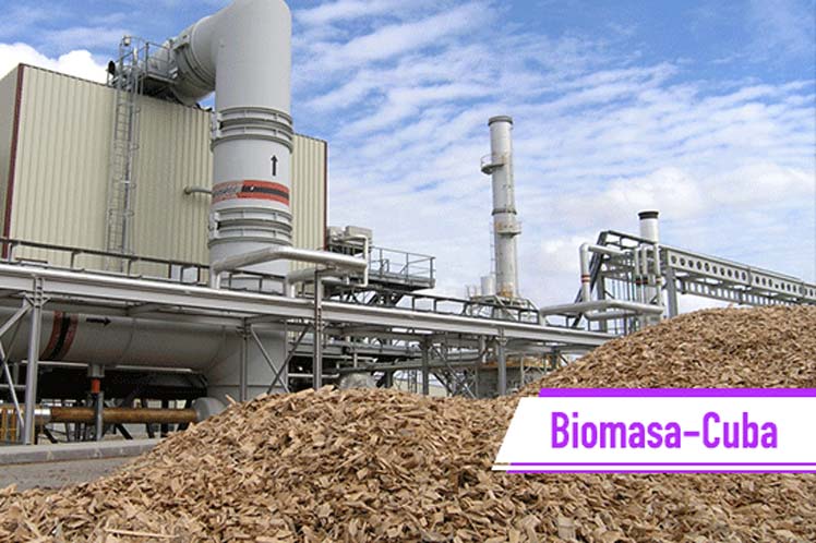 generación de electricidad a través de la biomasa