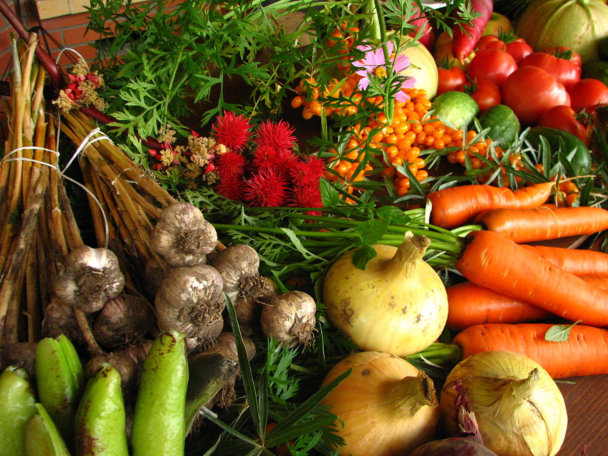 La agroecología proporciona alimentos naturales y sanos