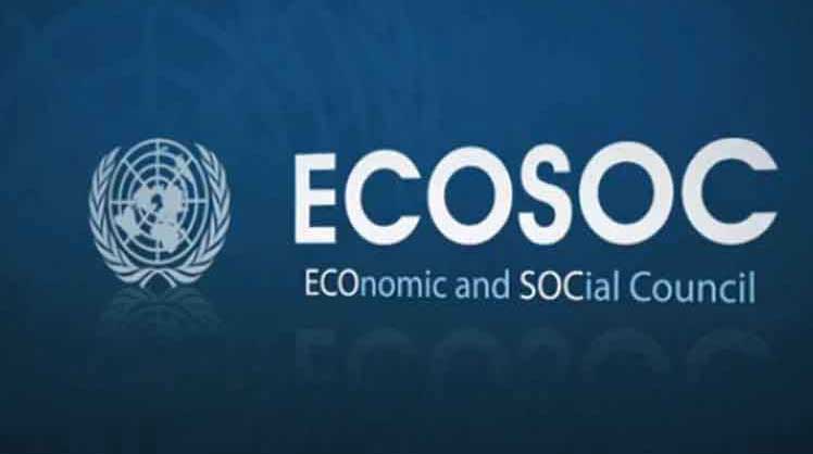 Consejo Económico y Social de las Naciones Unidas (ECOSOC)