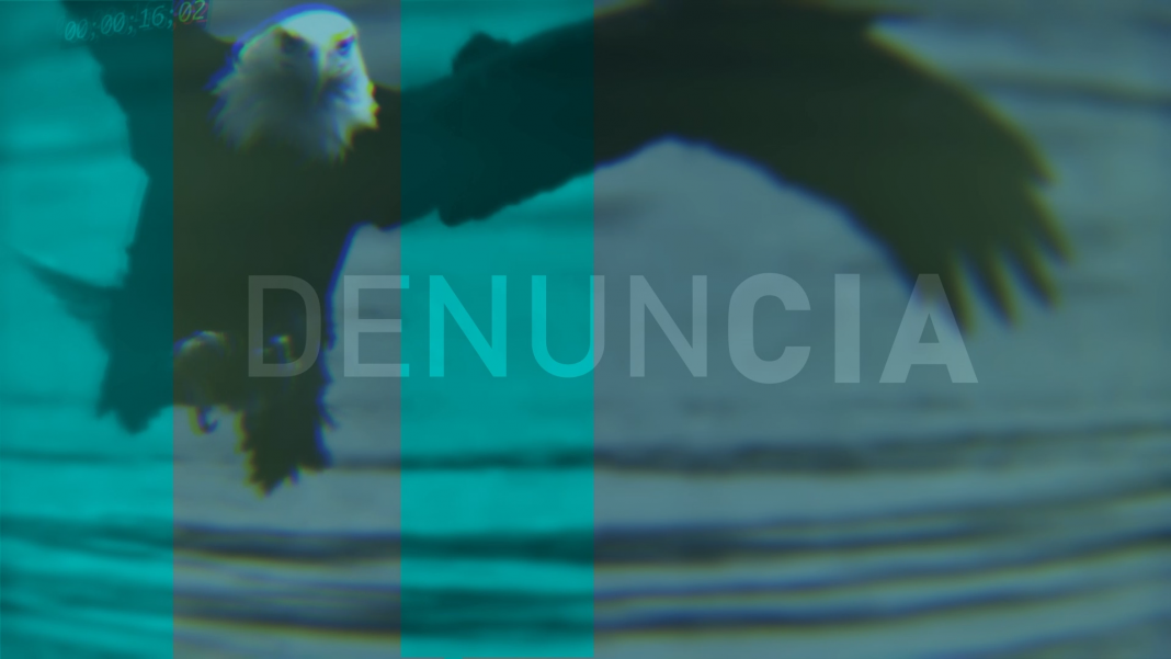 Banner alegórico a la denuncia de Cuba