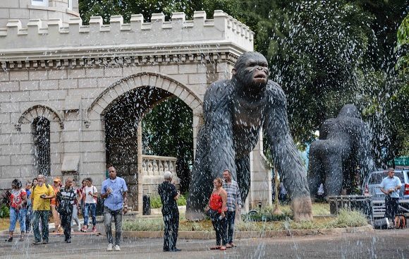 Inauguración del Parque Tecnológico La Finca de los Monos, en La Habana, el 10 de noviembre de 2019. Foto: Marcelino Vázquez/ACN.