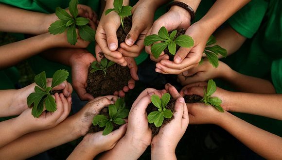 Día Mundial del Medio Ambiente. Foto: ACN.