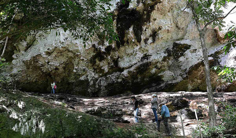 Nuevas áreas protegidas en la geografía cubana 