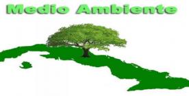 Medio ambiente