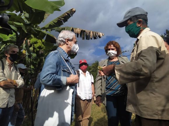 El intelectual brasileño Frei Betto visita a Cuba para participar en las jornadas por el Plan de Soberanía Alimentaria y Educación Nutricional. 