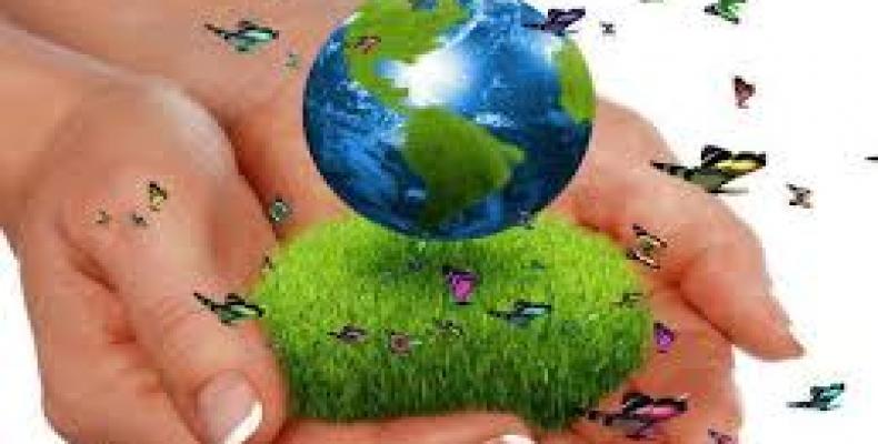 Medio ambiente
