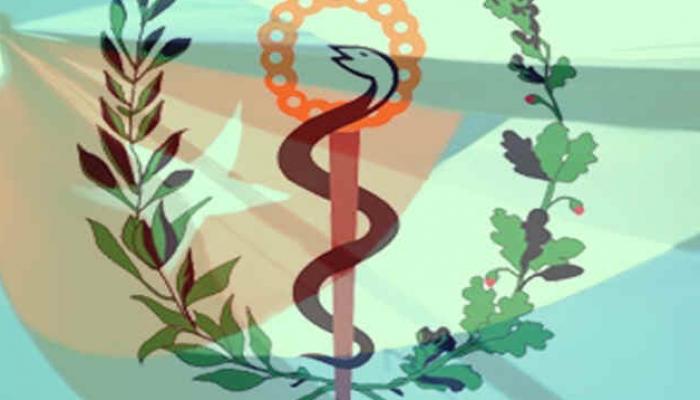 Logo de la salud