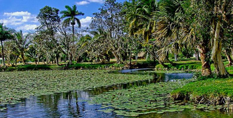 Ciénaga de Zapata, una buena opción para el ecoturismo en Cuba