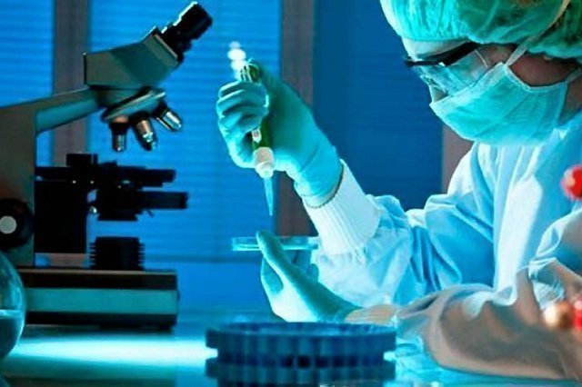 Ciencia, Tecnología e Innovación: