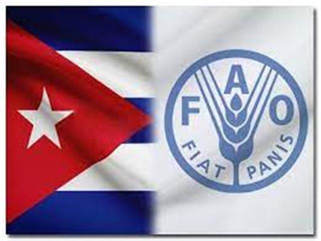 Contribuye la FAO al desarrollo forestal cubano