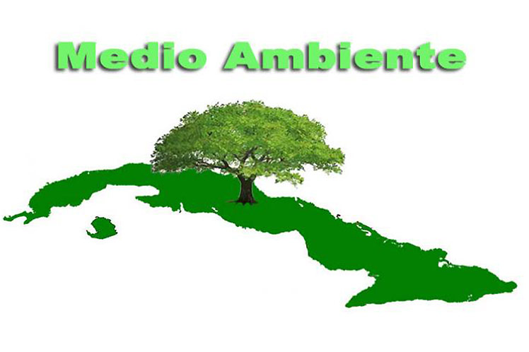 Medio ambiente Medio ambiente