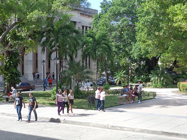 Bellos jardines adornan la Plaza Ignacio Agramonte, un paso obligado de estudiantes y profesores.