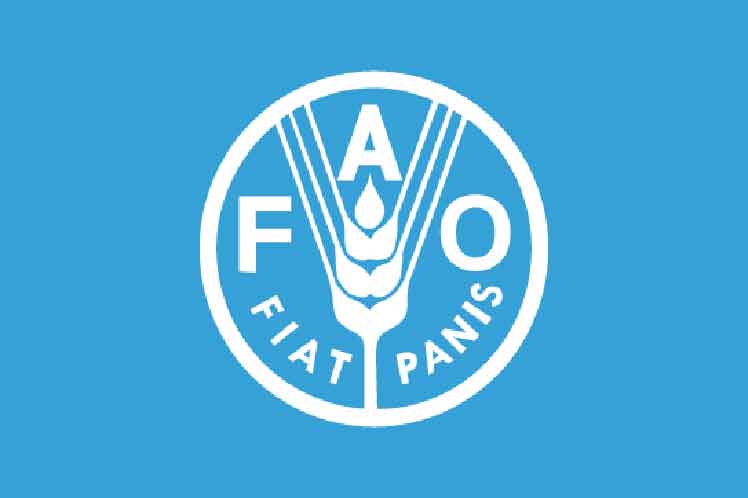 Banner alegórico a la FAO Banner alegórico a la FAO