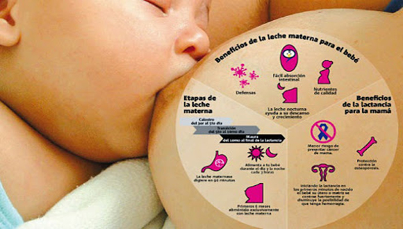 La lactancia materna garantiza supervivencia, salud y bienestar.
