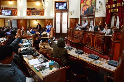 Momento en que se aprueba el proyecto de condecoración Che Guevara en la Cámara de Diputados de Bolivia. Foto: @Diputado