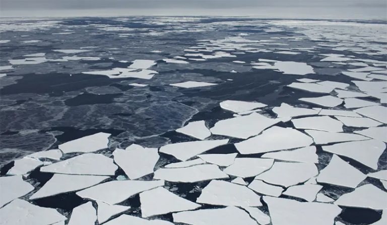 Imágenes tomadas con un dron a mediados de 2019 muestran la ruptura y derretimiento del hielo ártico. Como la Antártida, el Ártico tiene un papel importante en el control de las pautas climáticas y oceánicas del planeta y en el aumento del nivel del mar. Foto: Greenpeace. Imágenes tomadas con un dron a mediados de 2019 muestran la ruptura y derretimiento del hielo ártico. Como la Antártida, el Ártico tiene un papel importante en el control de las pautas climáticas y oceánicas del planeta y en el aumento del nivel del mar. Foto: Greenpeace.
