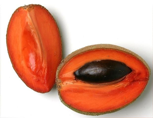 Beneficios del mamey y sus propiedades curativas