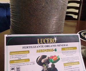Villa Clara: Prueban efectividad potencial de la Agromena, nuevo fertilizante agrícola
