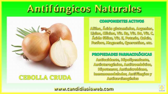 La cebolla reduce los síntomas de fatiga, ansiedad y depresión