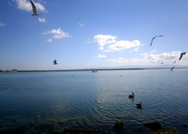 Bahía de Cienfuegos