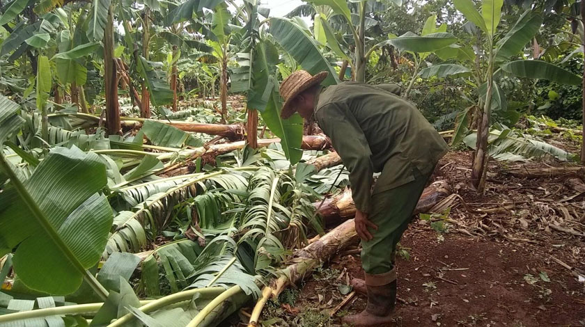 Huracán Isaías deja afectaciones por penetraciones del mar en Baracoa