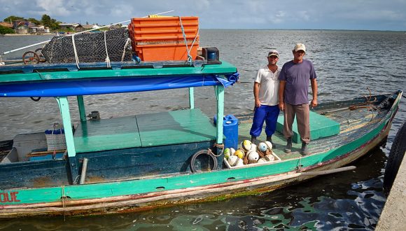 Barco tradicional de pesca utilizado en el Archipiélago Sabana-Camagüey. Barco tradicional de pesca utilizado en el Archipiélago Sabana-Camagüey.