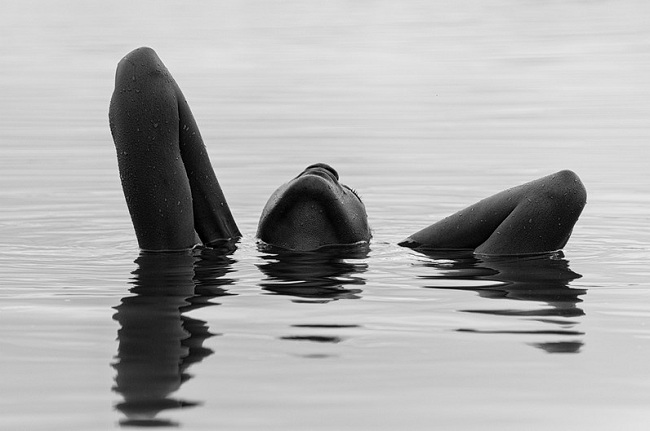  Elogio de la belleza