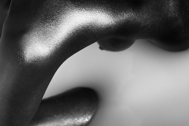  Elogio de la belleza