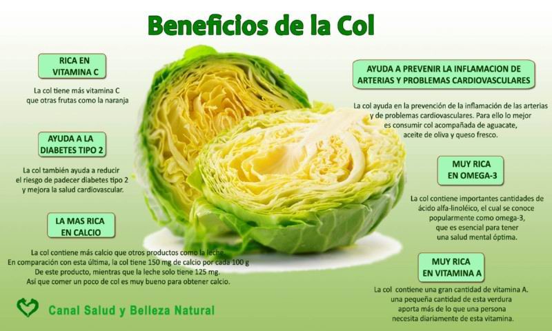 La col previene los ataques cardíacos y varios tipos de cáncer