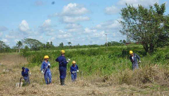 Torreros de Radiocuba Granma recuperan afectaciones en Camagüey