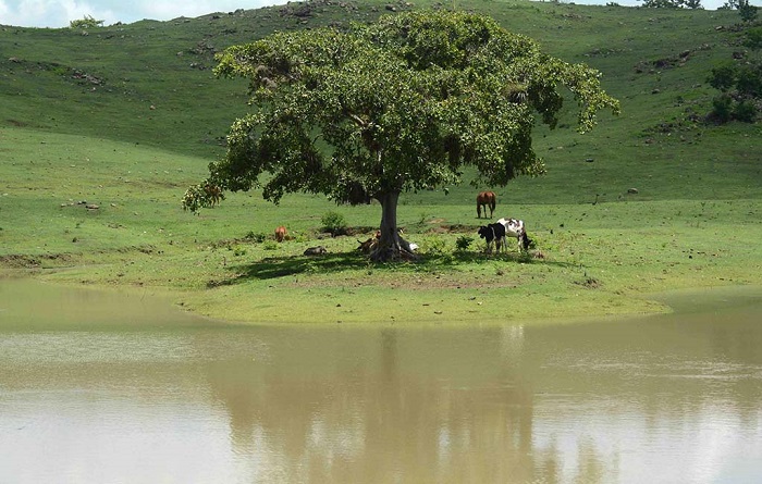 Imagen alegórica al cambio climático