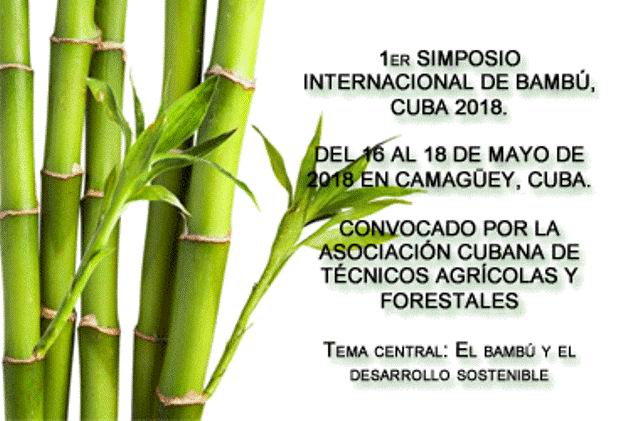 l Primer Simposio internacional, Bambú en el desarrollo Sostenible, ForestArt.com