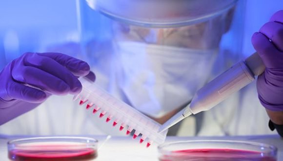 Ciencia, Tecnología e Innovación: