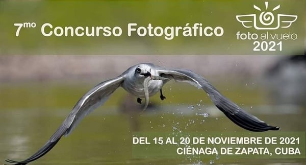 concurso Foto al vuelo