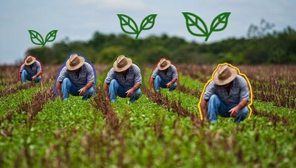  Polos productivos agropecuarios y forestales
