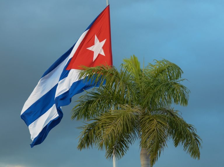Bandera y palma cubana