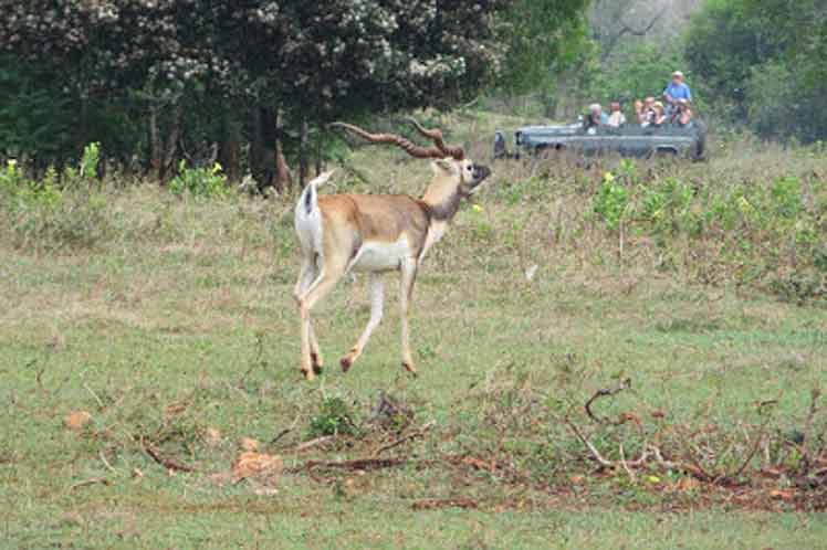 Turismo de naturaleza