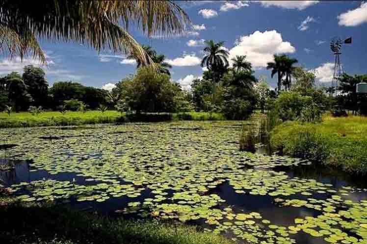 Ciénaga de Zapata Ciénaga de Zapata