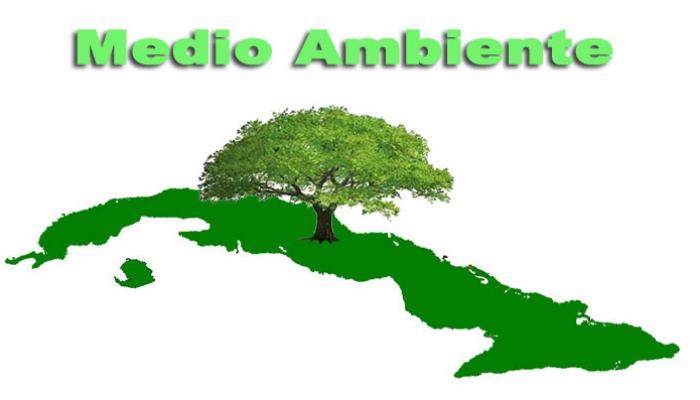 Imagen alegórica al medio ambiente en Cuba