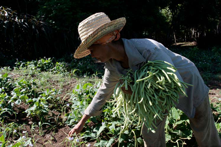 derechos de las mujeres rurales en Cuba