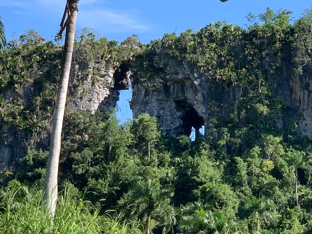 Paisaje de la zona donde está enclavada la finca de René Dopico. Observe las lajas de caliza y el alto grado de desmantelamiento de la sierra con cavernas y abras que la horadan.